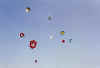Kites-blue sky.jpg (14346 bytes)